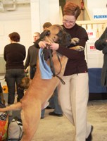 Taisto & Minna 2.2011