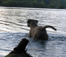 Taisto 05.2010