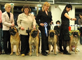 BIS2 Breeder's group Tallinn INT 2.2008