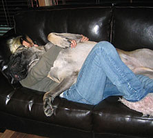 Tauno sleeping 
