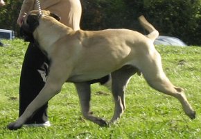 Tauno in Speciality 2005