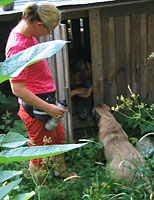 Tauno training 2006