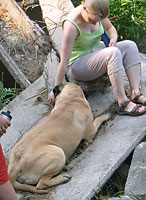 Tauno training 2006