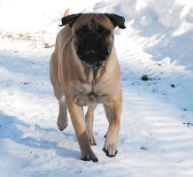 Toivo 16 kk/months Toivo 16 kk/months