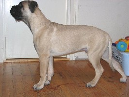 Toivo 4 kk/months
