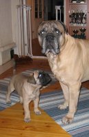 Toivo & Aatos