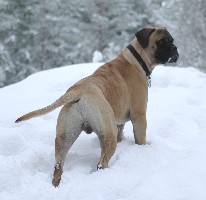 Topelius 10 months