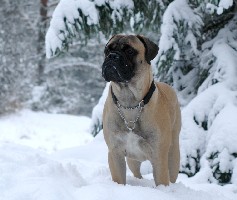 Topelius 10 months