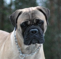Topelius 11 kk/months