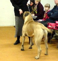 Topelius VSP/BOS Juva 1.2009