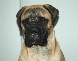 Topelius 7,5 months 