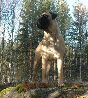 Topelius 9,5 months