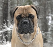 Topelius 23 kk/months