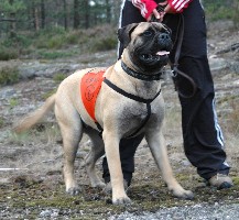 Trea 040808