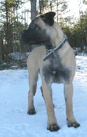 Trea 6 months