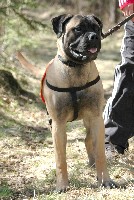 Trea 7,5 months