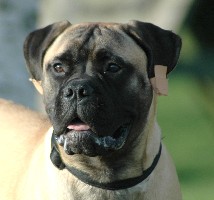 Trea 8 months
