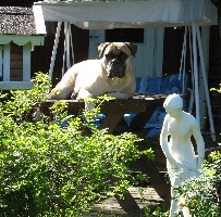 Urho on the table