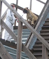 Urho 2005
