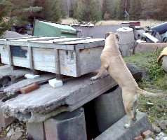 Urho ruins 10.2007