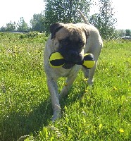 Urho 2006