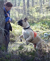 Urho 2007