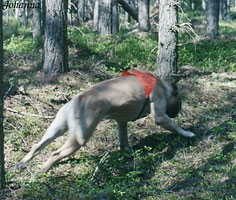 Urho 2004