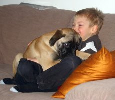 Wanda 01.2010