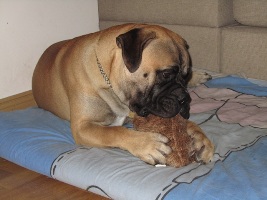Boris