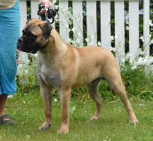 Boris 9,5 kk/months