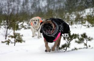 Lola & friend 11.2010