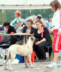 Heinola 150810 ROP-pentu/BOB-puppy