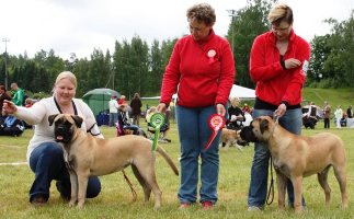 Ady VSP/BOS puppy & Taisto ROP/BOB puppy 13.6.10